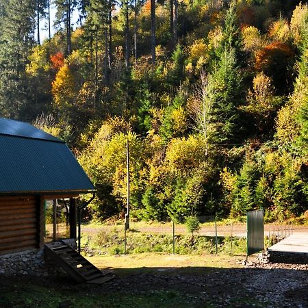Гостьовий Дім Секвойя Verkhnyaya Bystra Eksteriør bilde